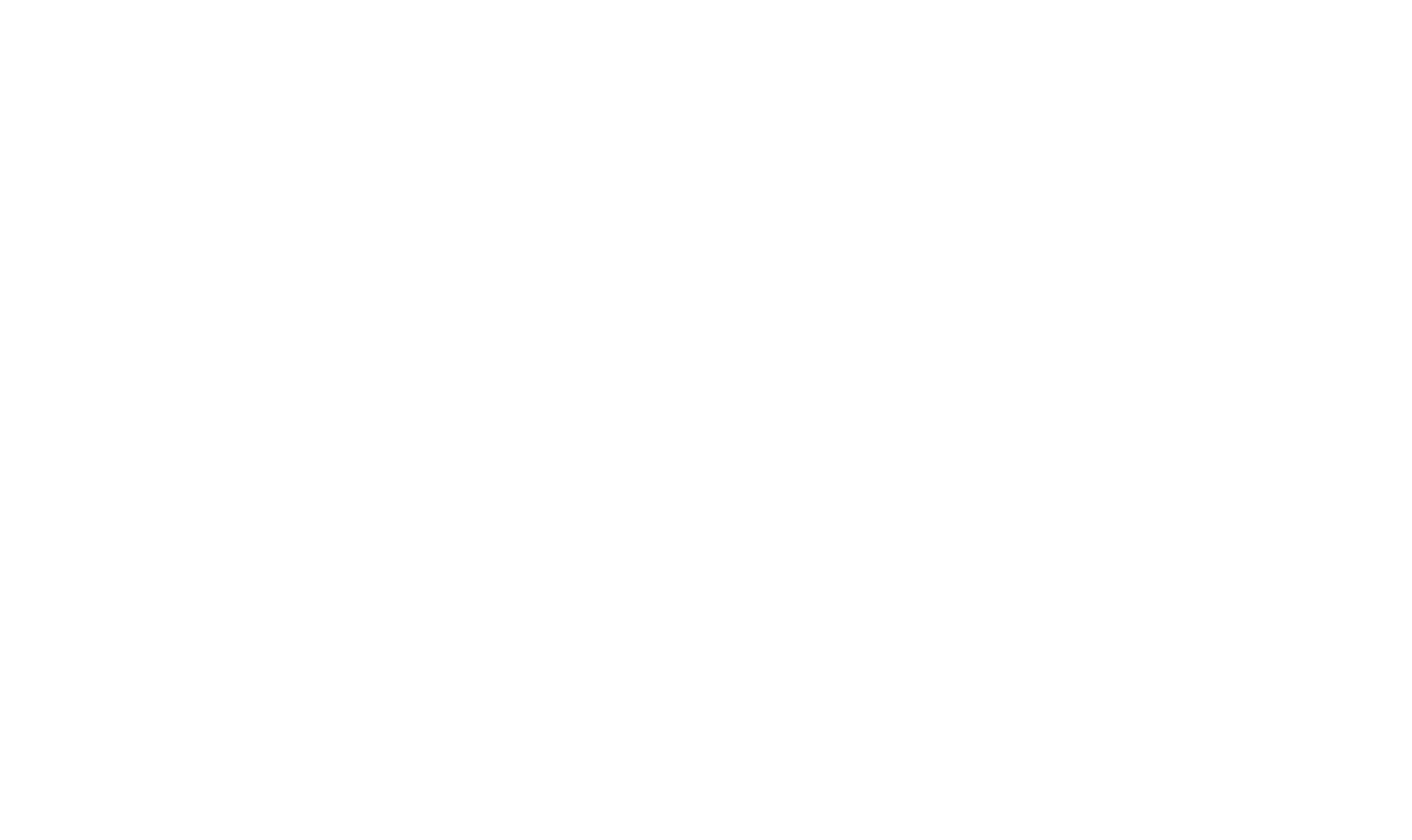 WISE footer logo